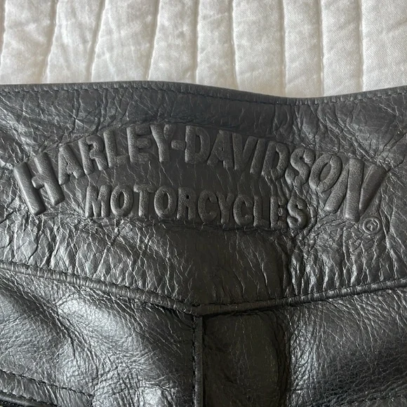 Genuine Harley-Davidson Leather Riding Pants - Picture 2 of 8